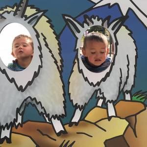 Meet your Posher, Anghelitaa